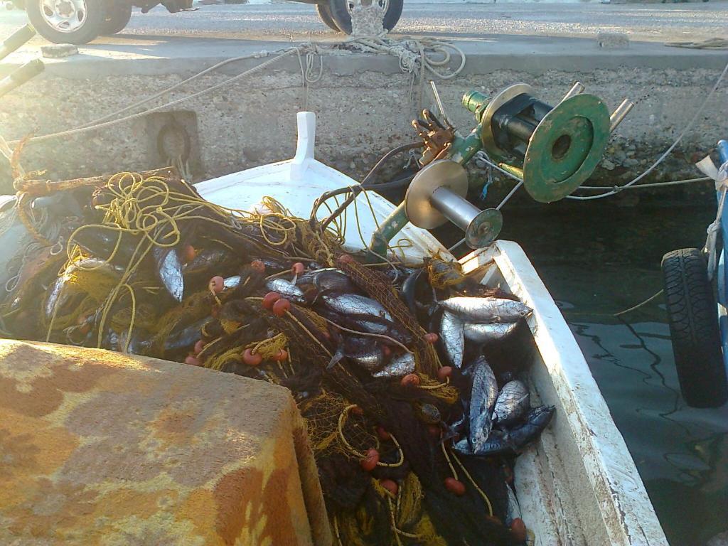Διαμερίσματα Διονυσία Κέφαλος Εξωτερικό φωτογραφία
