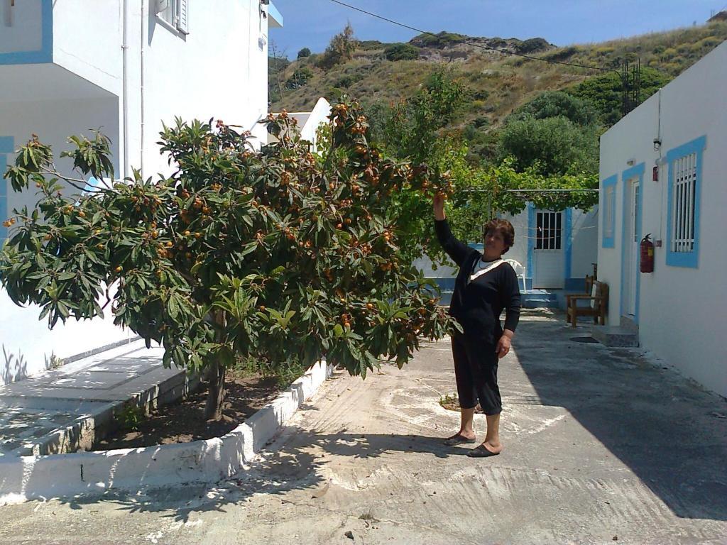 Διαμερίσματα Διονυσία Κέφαλος Εξωτερικό φωτογραφία